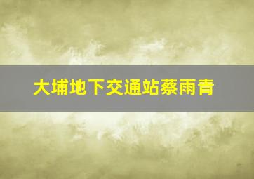 大埔地下交通站蔡雨青