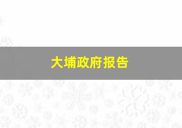 大埔政府报告