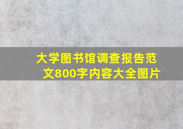 大学图书馆调查报告范文800字内容大全图片