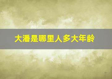 大潘是哪里人多大年龄