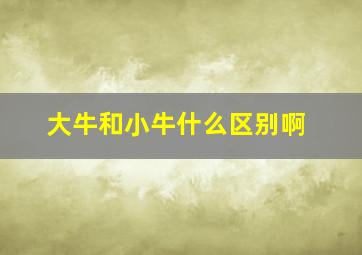 大牛和小牛什么区别啊