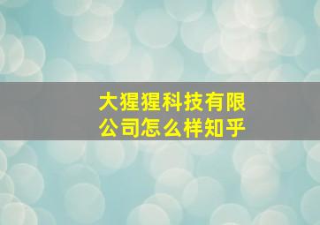 大猩猩科技有限公司怎么样知乎