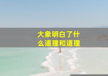 大象明白了什么道理和道理