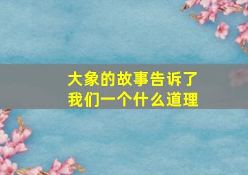 大象的故事告诉了我们一个什么道理