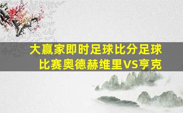 大赢家即时足球比分足球比赛奥德赫维里VS亨克