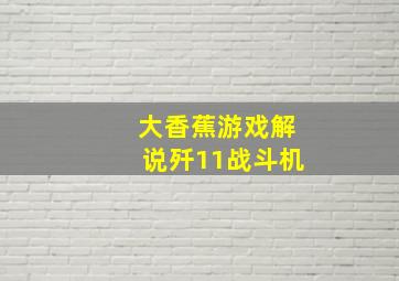 大香蕉游戏解说歼11战斗机