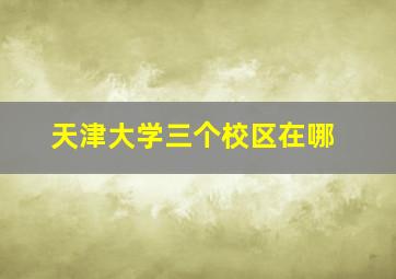 天津大学三个校区在哪