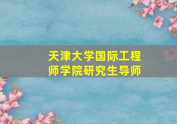 天津大学国际工程师学院研究生导师