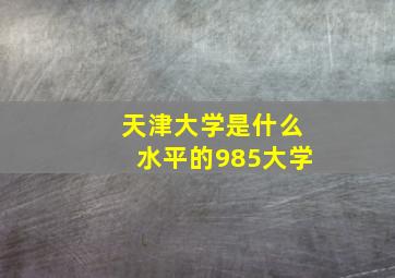 天津大学是什么水平的985大学