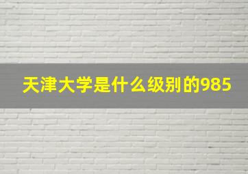 天津大学是什么级别的985