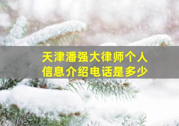 天津潘强大律师个人信息介绍电话是多少