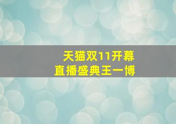 天猫双11开幕直播盛典王一博