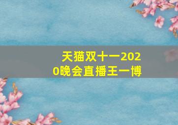 天猫双十一2020晚会直播王一博