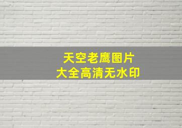 天空老鹰图片大全高清无水印