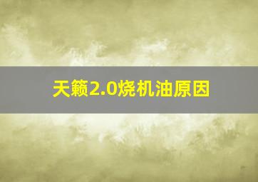 天籁2.0烧机油原因