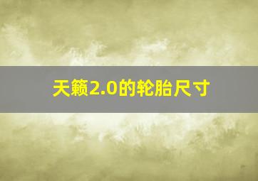 天籁2.0的轮胎尺寸