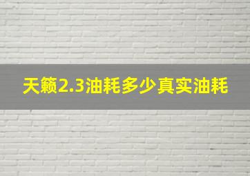 天籁2.3油耗多少真实油耗