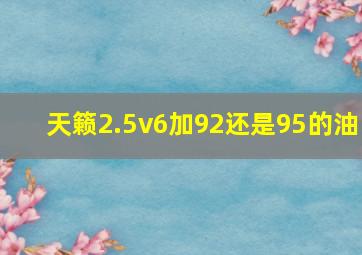 天籁2.5v6加92还是95的油