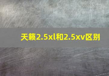 天籁2.5xl和2.5xv区别