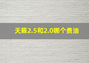 天籁2.5和2.0哪个费油