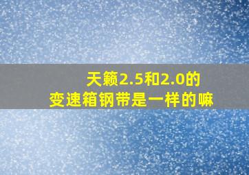 天籁2.5和2.0的变速箱钢带是一样的嘛