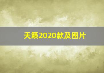 天籁2020款及图片