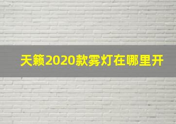 天籁2020款雾灯在哪里开