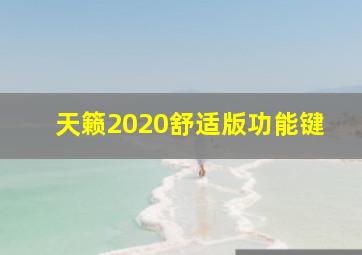 天籁2020舒适版功能键