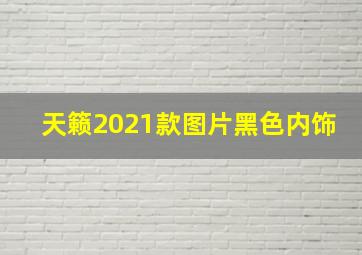 天籁2021款图片黑色内饰