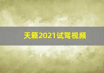 天籁2021试驾视频