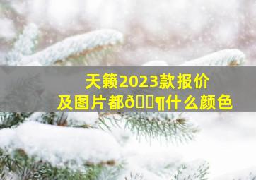 天籁2023款报价及图片都🈶什么颜色