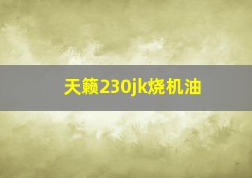 天籁230jk烧机油