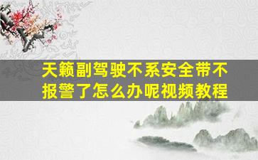 天籁副驾驶不系安全带不报警了怎么办呢视频教程