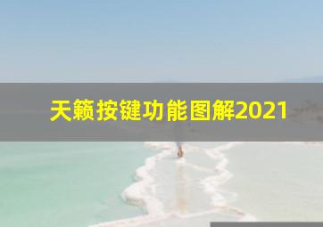 天籁按键功能图解2021