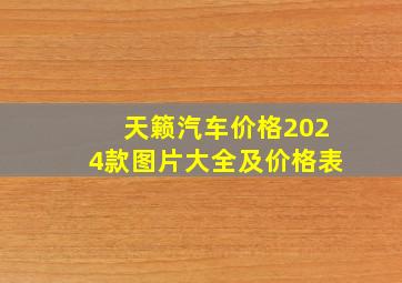 天籁汽车价格2024款图片大全及价格表