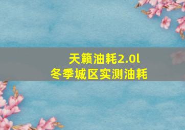 天籁油耗2.0l冬季城区实测油耗