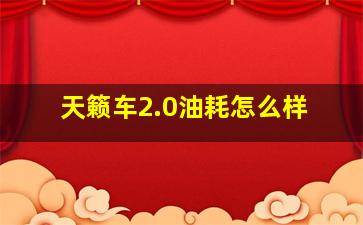 天籁车2.0油耗怎么样