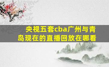 央视五套cba广州与青岛现在的直播回放在哪看