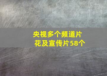 央视多个频道片花及宣传片58个