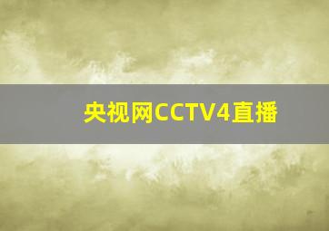 央视网CCTV4直播