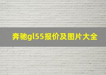 奔驰gl55报价及图片大全