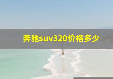 奔驰suv320价格多少