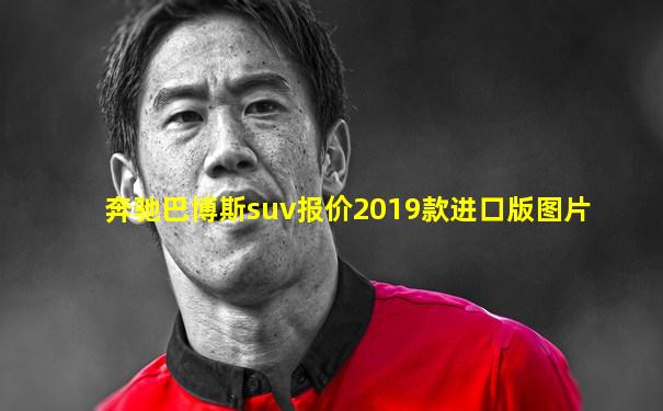 奔驰巴博斯suv报价2019款进口版图片