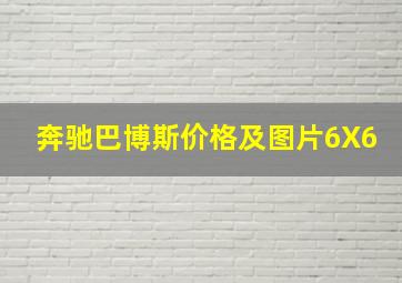 奔驰巴博斯价格及图片6X6