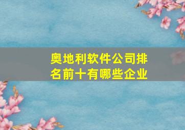 奥地利软件公司排名前十有哪些企业