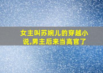 女主叫苏婉儿的穿越小说,男主后来当高官了