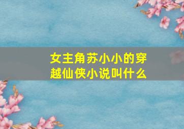 女主角苏小小的穿越仙侠小说叫什么