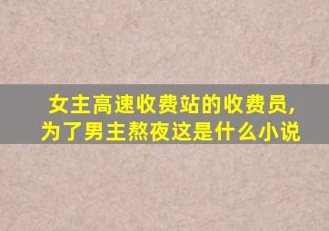 女主高速收费站的收费员,为了男主熬夜这是什么小说