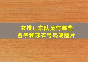 女排山东队员有哪些名字和球衣号码呢图片