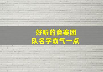 好听的竞赛团队名字霸气一点